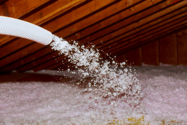 Best Insulation Removal  in Geistown, PA